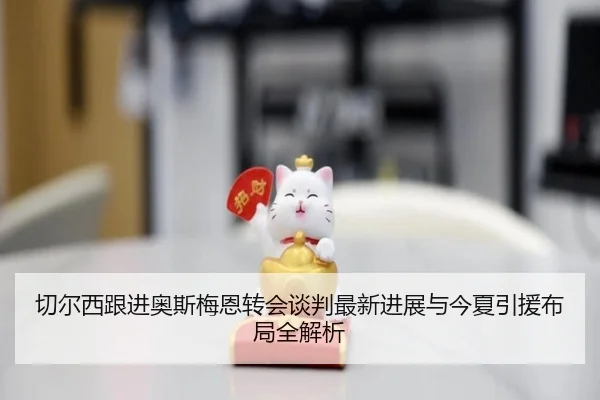 切尔西跟进奥斯梅恩转会谈判最新进展与今夏引援布局全解析